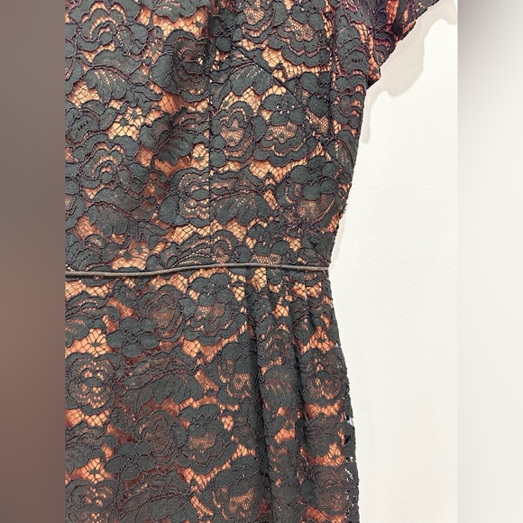 Vintage Grace Taylor Lace Overlay Sheath Dress - Picture 3 of 6